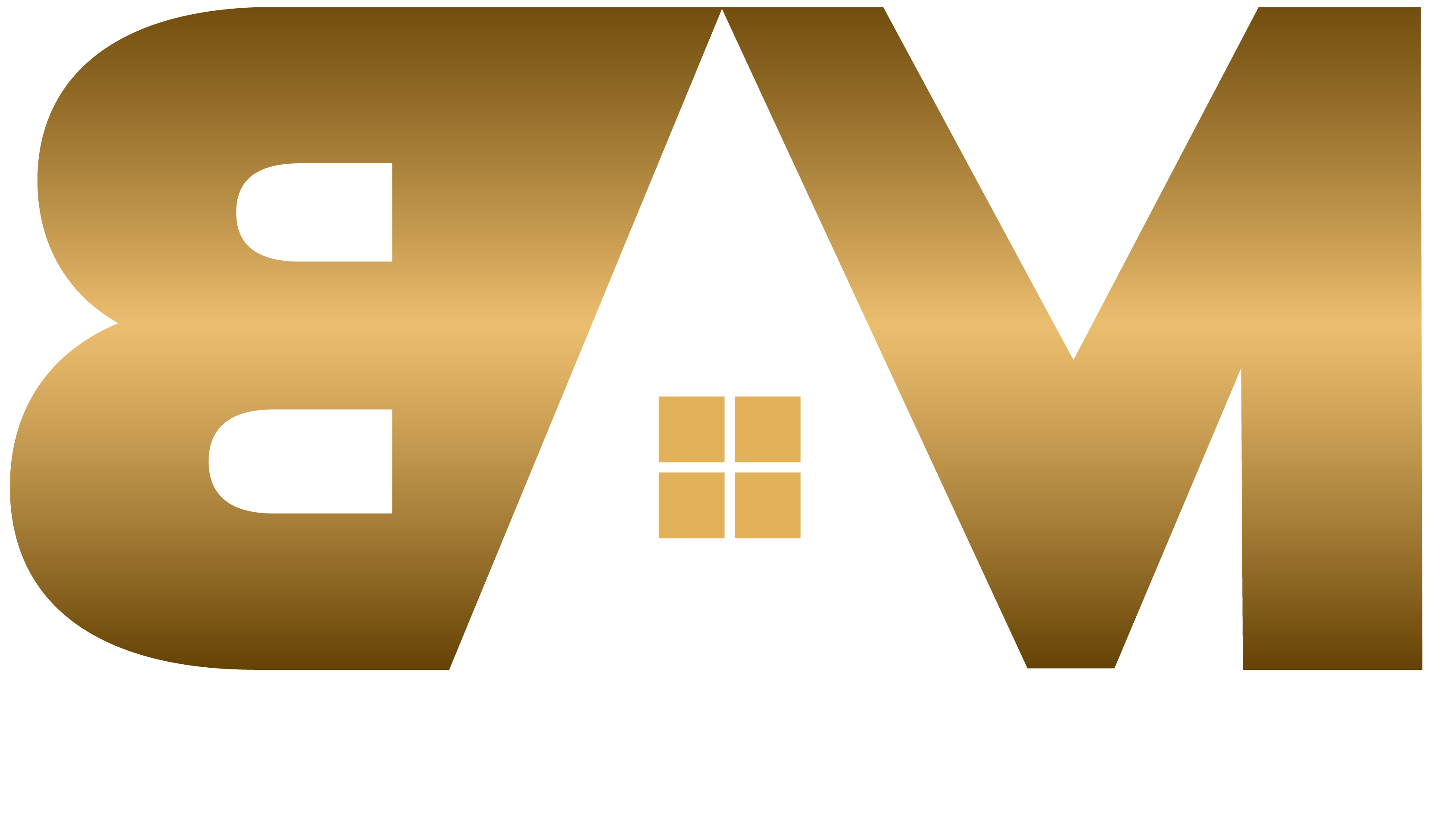 BAM Homes Inc